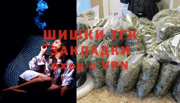 дживик Осинники