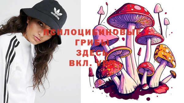 винт Алзамай