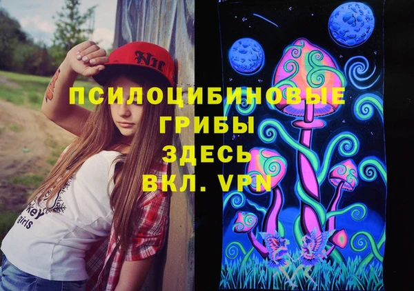 соль курить ск Алексеевка
