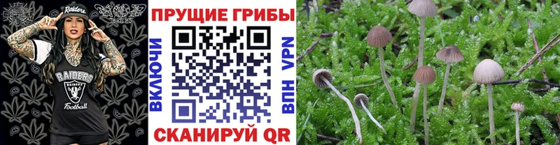 закладка  блэк спрут вход  Галлюциногенные грибы ЛСД  Поворино 